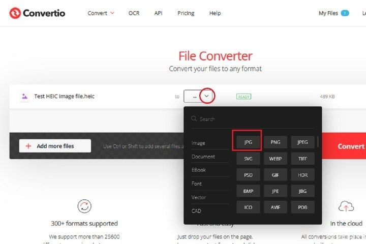 在 Convertio 网站上选择 JPG。