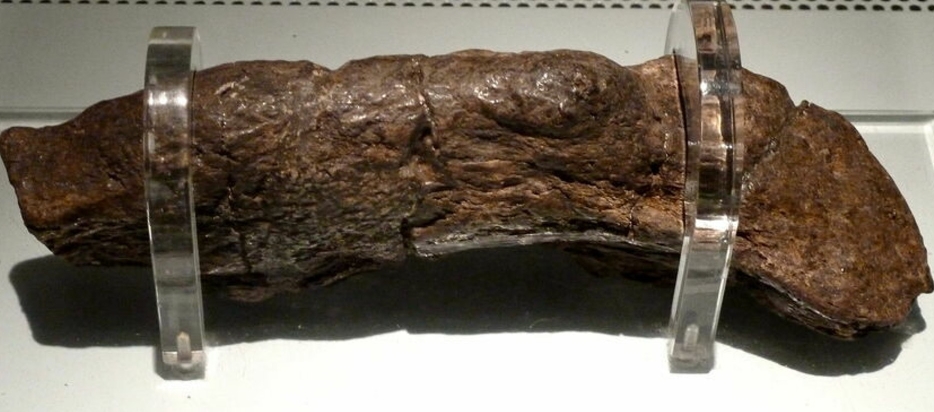 奇葩吉尼斯世界纪录有哪些_奇葩吉尼斯世界纪录身体部分_