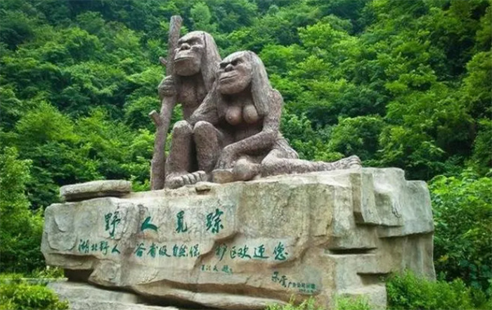 _身毛密打一生肖_神农架神秘生物