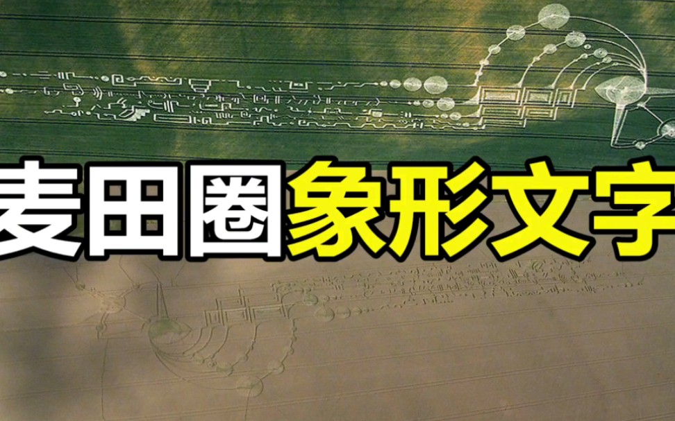 麦田怪圈之谜已被破解视频_麦田怪圈解释_