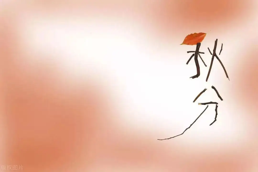 秋分养肺食谱_秋分适合吃的食疗_