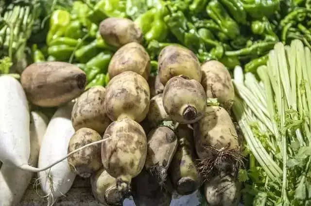 秋分适合吃的食疗_秋分养肺食谱_