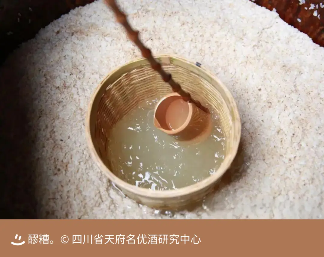 啤酒上发酵和下发酵__发酵床养鸡技术