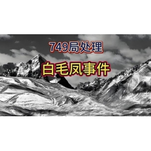 1983 年昆仑山屠龙事件：749 局精英特工与恐怖巨蛇的生死对决