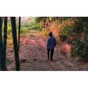 山乡奇闻：家庭爱情与牺牲的感人故事，晓芹、竹林和大宝的命运纠葛