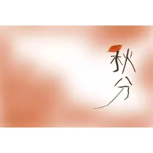 秋分将至，润肺又营养的白萝卜，每斤只要六毛钱